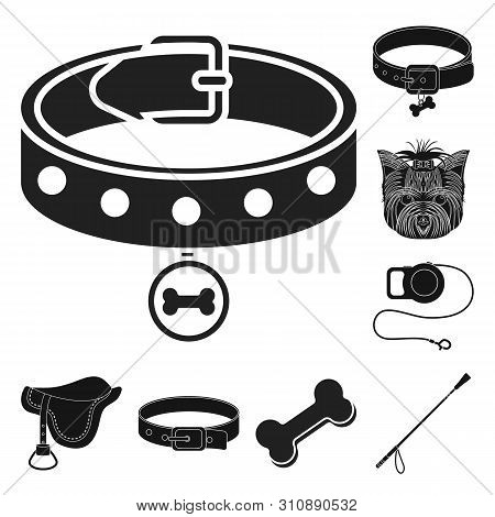 Bitmap Design Of Pet And Accessories Icon. Set Of Pet And Shop Bitmap Icon For Stock.