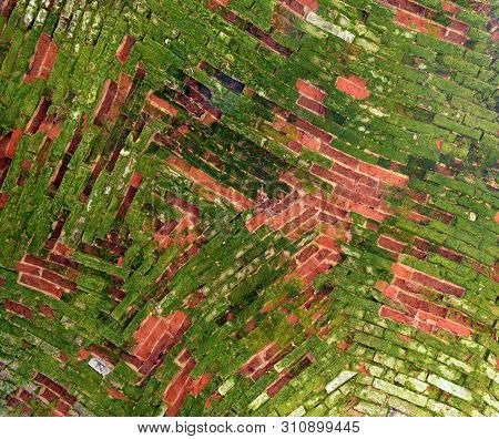 Brickwork Of An Ancient Arch Ceiling Made Of Red Brick Covered With Green And White Fungus.