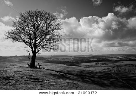Einzelner Baum auf Hügel gegen atemberaubend lebendige blauer Himmel und Wolken
