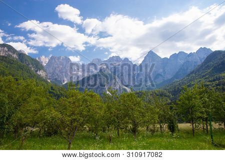 Gorgeous View Of Moutain Spik In Julian Apls