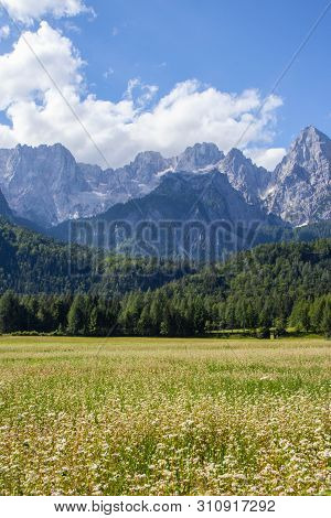 Gorgeous View Of Moutain Spik In Julian Apls