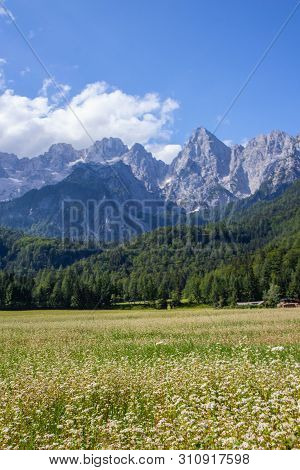 Gorgeous View Of Moutain Spik In Julian Apls