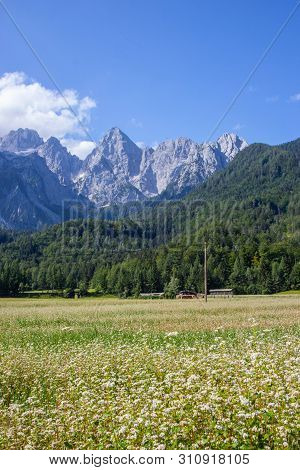 Gorgeous View Of Moutain Spik In Julian Apls