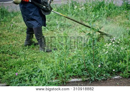 A Man Mows The Grass And Weeds On A City Lawn Using A Hand-held Lawn Mower. Improvement And Economy 