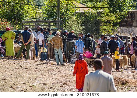 Azrou, Morocco - October 15, 2013. People Selling And Buying Sheep For Islamic Festival Eid Al Adha