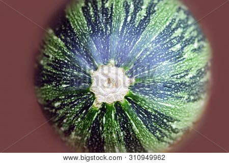 Close-up Photo Of Green Zucchini Or Courgette, Texture Of Green Zucchini.