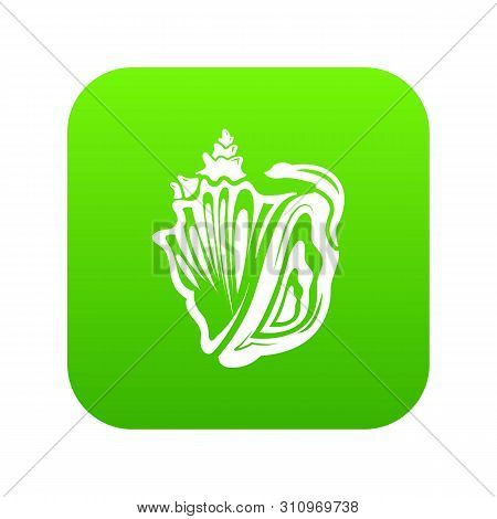 Rapan Icon. Simple Illustration Of Rapan Icon For Web