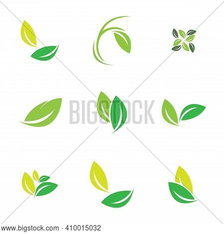 Leaf