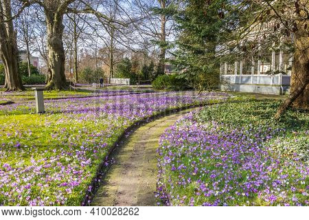 Assen, Netherlands - February 25, 2021: Garden With Spring Flowers Of The Historic Overcingel House 