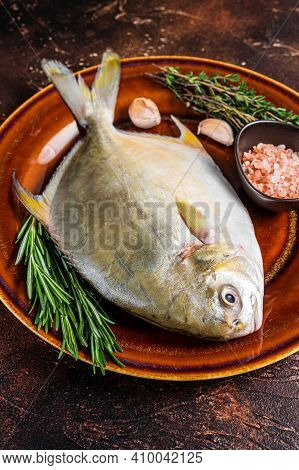 Fresh Raw Florida Pompano Fish On A Rustic Plate. Dark Background. Top View