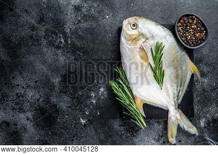 Raw Fish Pompano With Herbs On A Marble Board. Black Background. Top View. Copy Space