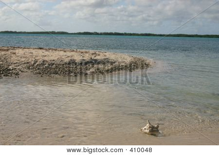 อยู่คนเดียว