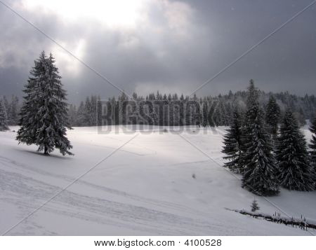 Winter