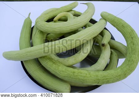 Yard-long Snake Cucumbers Heap, Very Long Thin Curvy Light Green Cucumber Bunch On White Background.