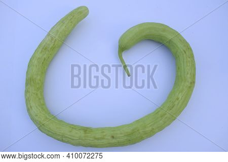 Yard-long Snake Cucumbers Heap, Very Long Thin Curvy Light Green Cucumber Bunch On White Background.