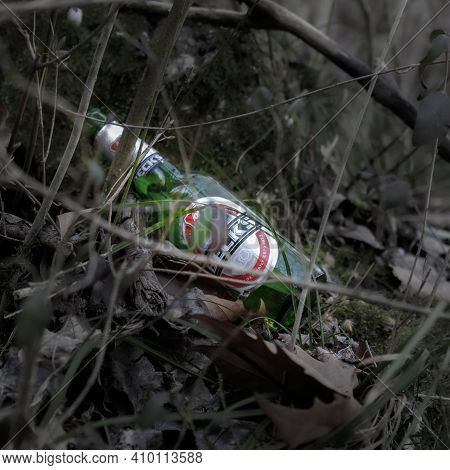 Bardolino, Italy - 02 26 2021: Abandoned Beer Bottle In A Forest.