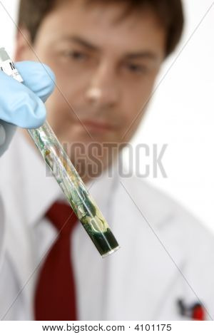 (Son aşaması) test adli kan