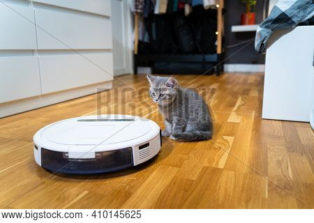 Cleaning Theme, Smart Technology And Pets. Automatic Robot Vacuum Cleaner Cleans The Room, While Gra