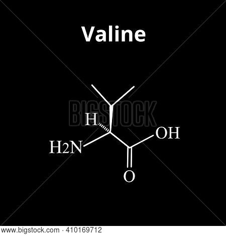 Valine Amino Acid. Chemical Molecular Formula Of Valine Amino Acid. Vector Illustration On Isolated 