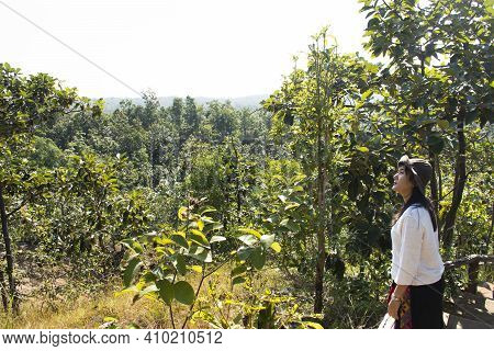 Travelers Thai Women People Walking Travel Visit Pha Chor Canyon Cliffs And Trekking Hiking On Natur