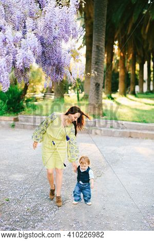 Cute 18 Months Old Baby Is Walking Hand-in-hand With His Mother Under A Wysteria Tree