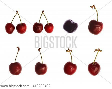 Fresh Isolated Cherries Set. Sweet Red Berry Food.