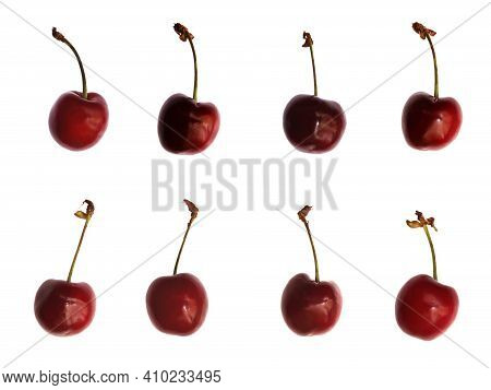 Fresh Isolated Cherries Set. Sweet Red Berry Food.