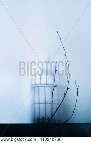 Birdcage And A Tree Branch Behind A Glass, Cold Morning Atmosphere, Mystery Novel Concept