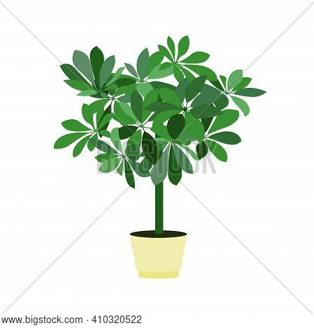 Flower Pot Scheffler In Pot Icon Art Design Element Stock Vector Illustration For Web, For Print, Fo