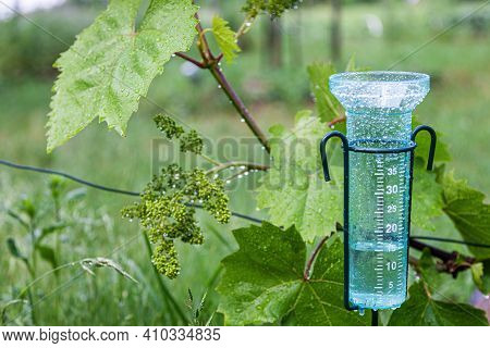 Meteorology With Rain Gauge In Garden After The Rain