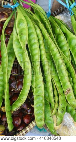 Green Stink Bean Or Parkia Speciosa Tied With Rope