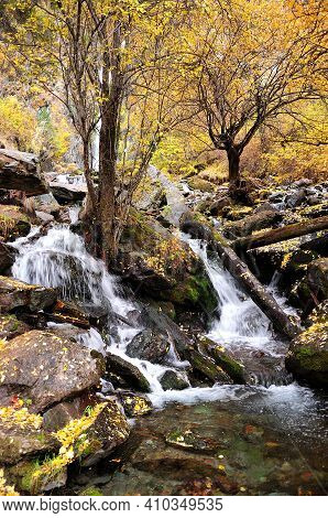 A Stormy Mountain Stream Flows Into The Valley, Bending Around Tree Trunks And Large Stones.