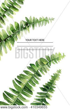Watercolor Plant Frame. Fern Leaves. Watercolour Illustration On White Background.