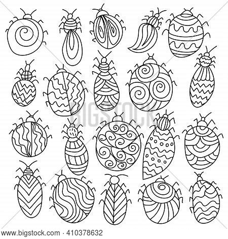 Set Of Fantasy Insects, Contour Doodle Bugs With Patterns And Curls For Design And Creativity Vector
