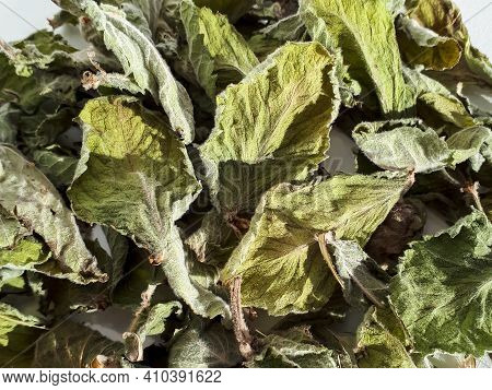 Dried Green Mint Tea Leaves