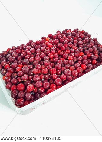 Red Currants In A Plastic Container On White Background. Macro