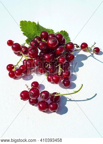 Perfect, Ripe Redcurrants And Foliage Isolated Against White On Sunlight. White And Isolated Backgro