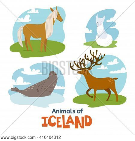 Animals Of Iceland In Flat Modern Style
