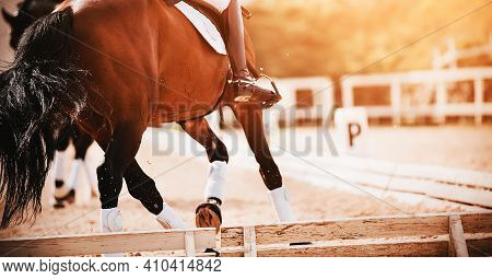 A Bay Shod Horse With A Rider In The Saddle Trots In A Dressage Competition, Illuminated By Sunlight