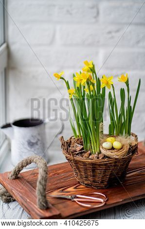 Narcissists Stand On A Wooden Tray With Handles From A Beige. Spring Daffodils Stand In A Woven Bask