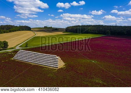Red blooming crimson clover field (Trifolium incarnatum) and heap of bales seen from above
