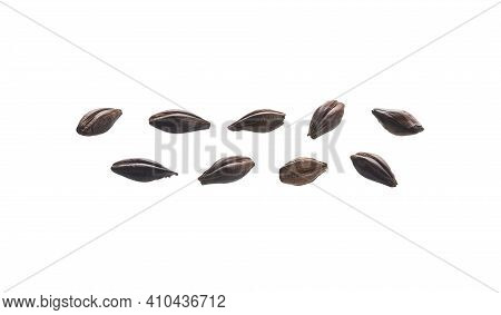 A Set Of Roasted Rye Malt Grains. Isolated On A White Background