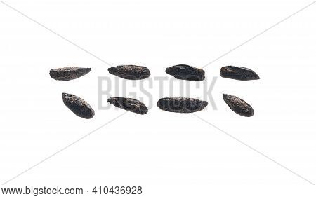 A Set Of Roasted Rye Malt Grains. Isolated On A White Background