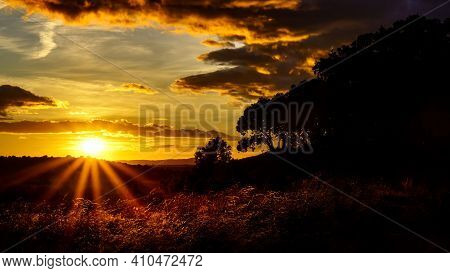 Sunset Landscape In The Field, Trees, Red Earth And Sky With Big Clouds In Blue And Orange Tones Of 