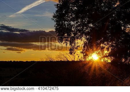 Sunset Landscape In The Field, Trees, Red Earth And Sky With Big Clouds In Blue And Orange Tones Of 