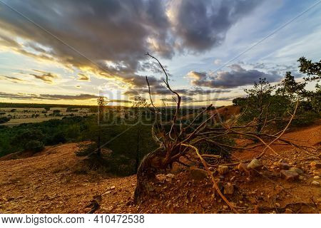 Sunset Landscape In The Field, Trees, Red Earth And Sky With Big Clouds In Blue And Orange Tones Of 