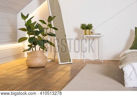 Home Plant Ficus In Straw Bag. Minimal Modern Interior Design. Stylish Green Plant In Wicker Pot Nea