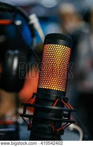 Professional Studio Condenser Microphone Attached To Shock Mount