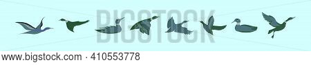 Set Of Loon Cartoon Icon Design Template With Various Models. Modern Vector Illustration Isolated On