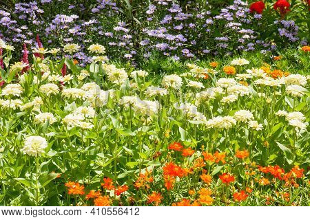 Flowers Are Beautiful And Refreshing